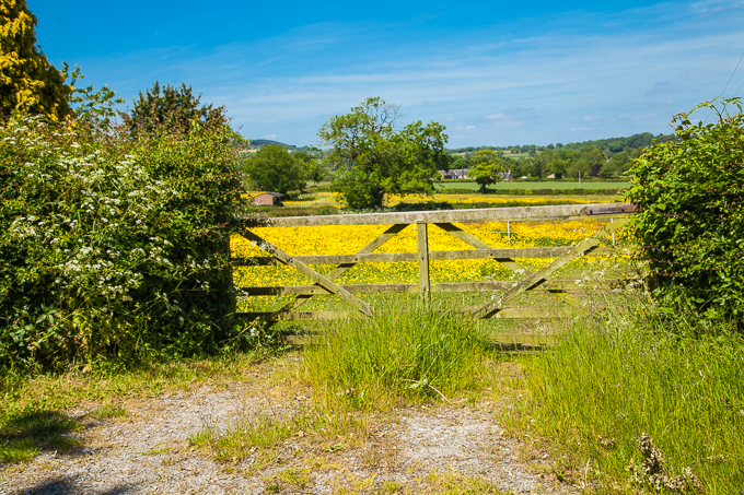 Gates (03)